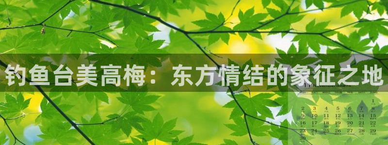 壹号玩家app下载