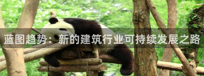 赢咖app下载安装最新版：蓝图趋势：新的建筑行业可持续发展之路