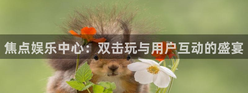 壹号官方app下载安装：焦点娱乐中心：双击玩与用户互动的盛宴