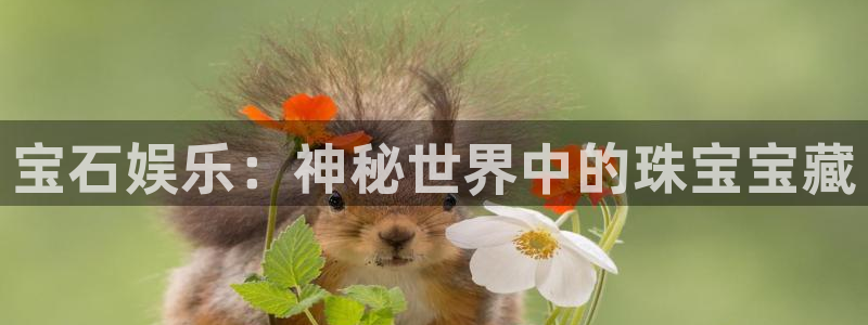 赢咖app官网下载：宝石娱乐：神秘世界中的珠宝宝藏
