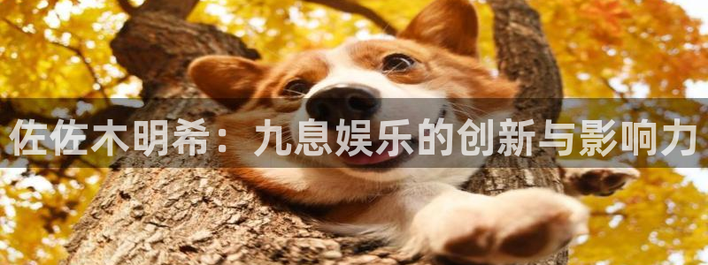 赢咖app官网下载：佐佐木明希：九息娱乐的创新与影响力