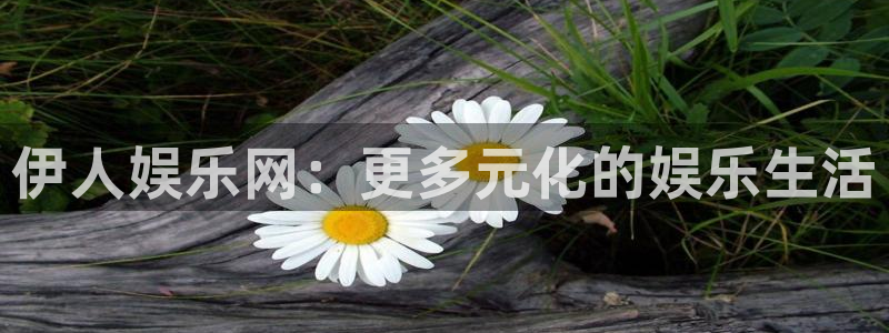 壹号大舞台娱乐app下载安装