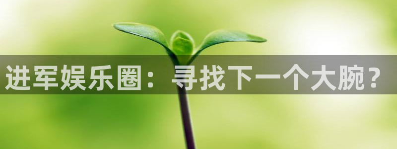 壹号下载安装