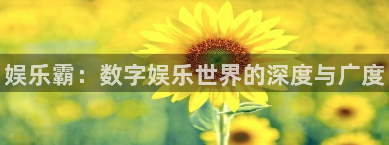 赢咖科技赋能,让平台更有趣