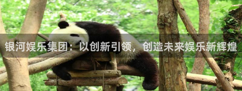 壹号电子娱乐app