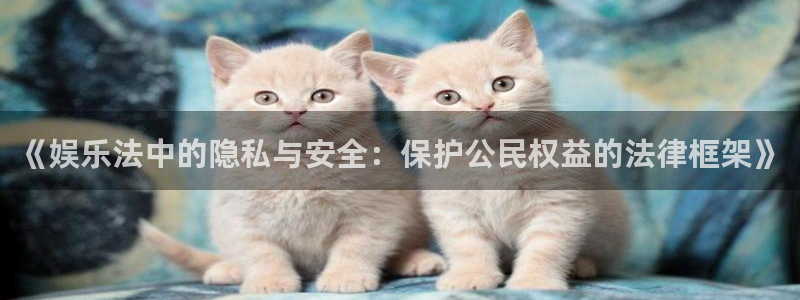 赢咖app官网
