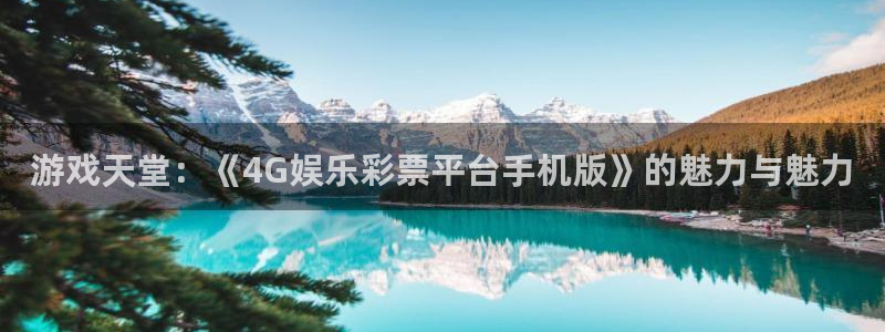 赢咖下载