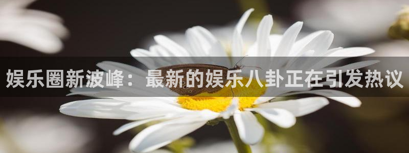 壹号国际app免费下载安装