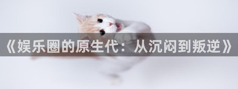 赢咖,apk