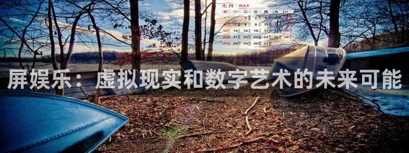 赢咖官网