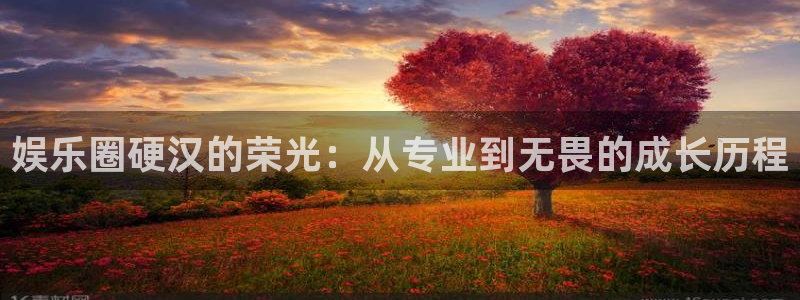 壹号app官网版下载