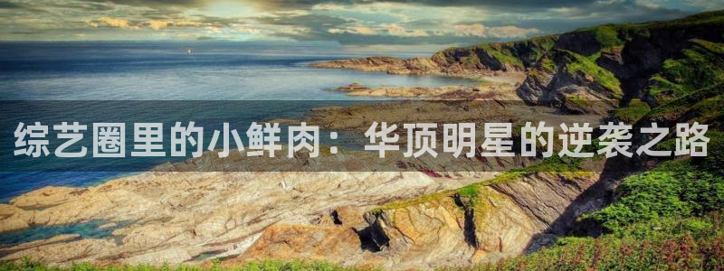 赢咖
