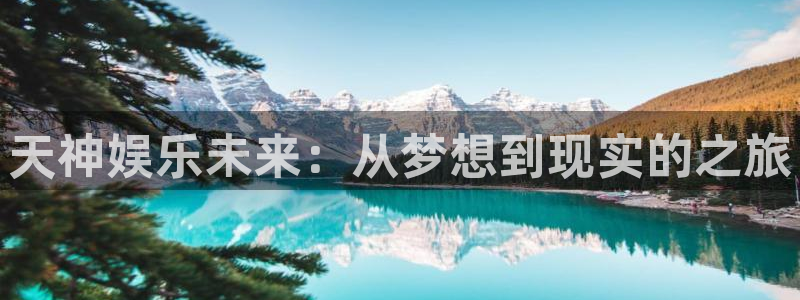 赢咖app网页入口
