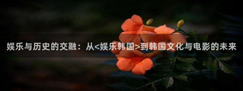 赢咖app下载：娱乐与历史的交融：从<娱乐韩国>到韩国文化与电影的未来