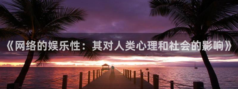 赢咖下载：《网络的娱乐性：其对人类心理和社会的影响》