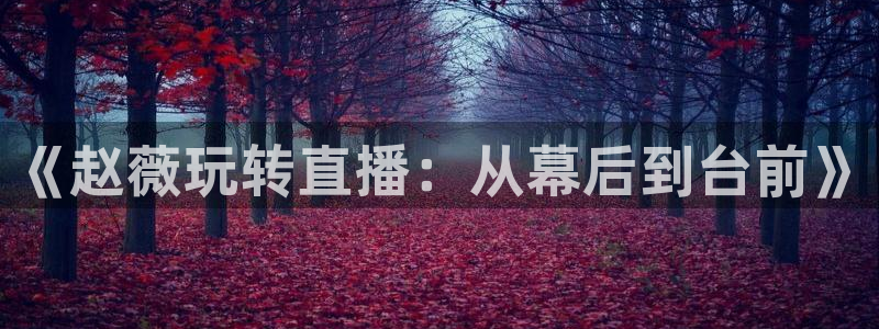 赢咖,com