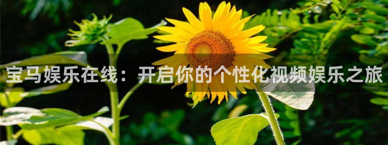 壹号平台app下载安装