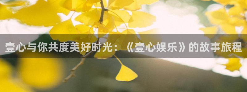 赢咖下载