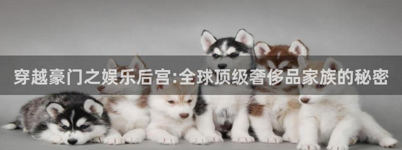 赢咖(com.youad.authst)