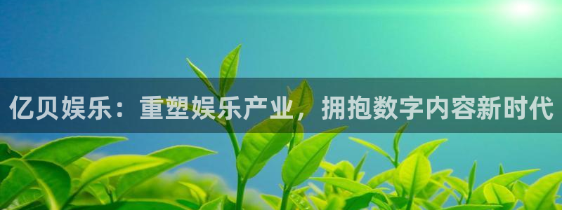 赢咖,apk.