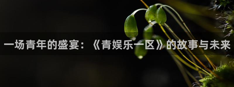 赢咖app官网下载苹果