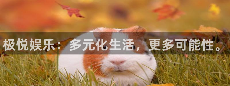 壹号app下载苹果