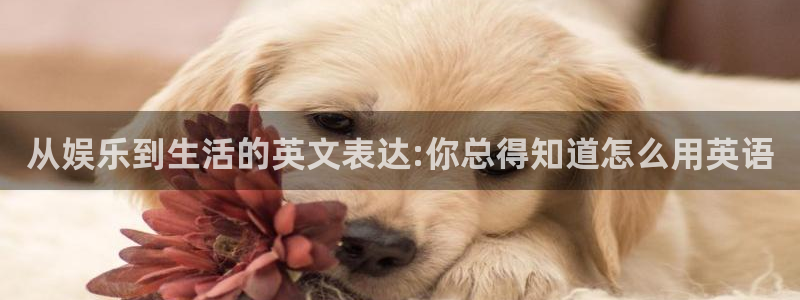壹号app下载官方网站：从娱乐到生活的英文表达:你总得知道怎么用英语