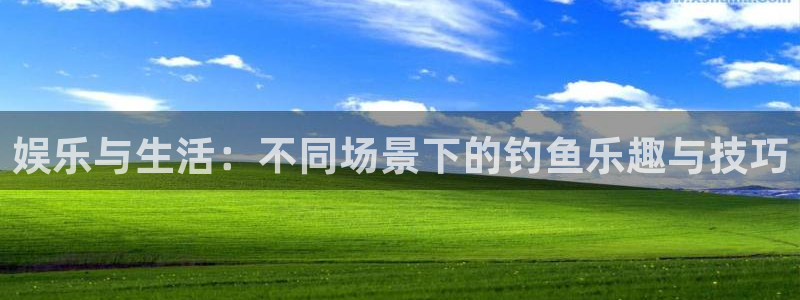 赢咖,apk.：娱乐与生活：不同场景下的钓鱼乐趣与技巧